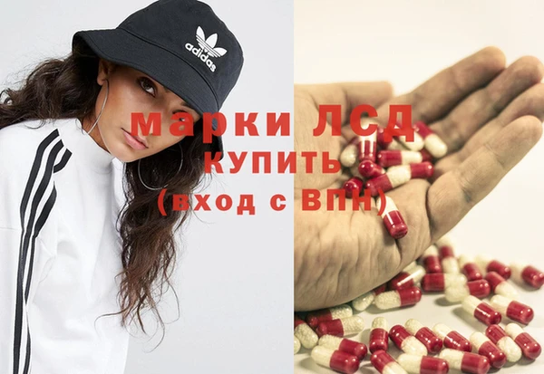 ГАЛЛЮЦИНОГЕННЫЕ ГРИБЫ Алексеевка